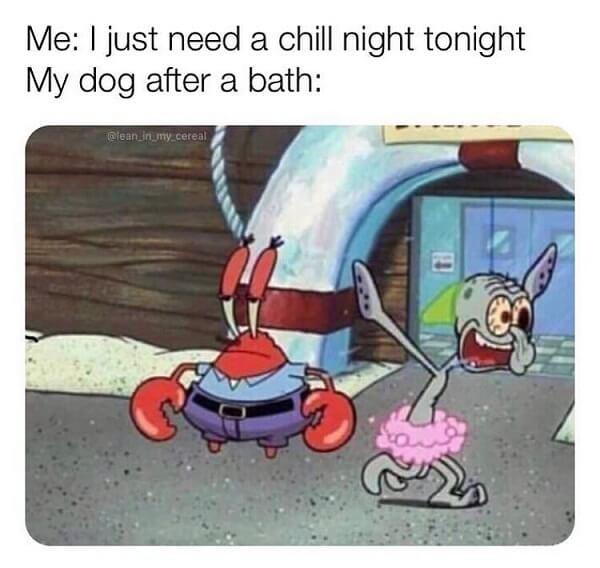 mr krabs meme i just need a chill night