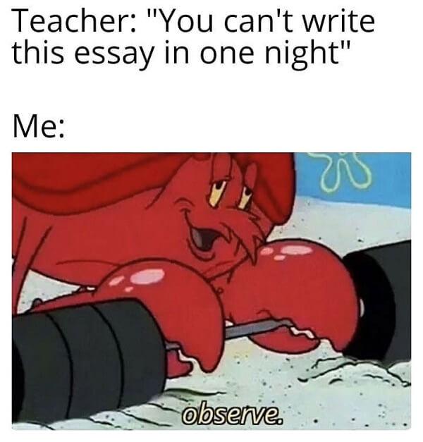 mr krabs meme you can't write this essay in one night