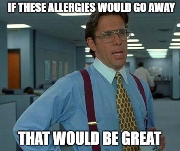 office space meme allergies