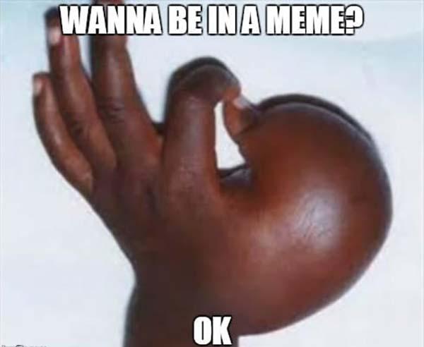 ok meme wanna be a meme