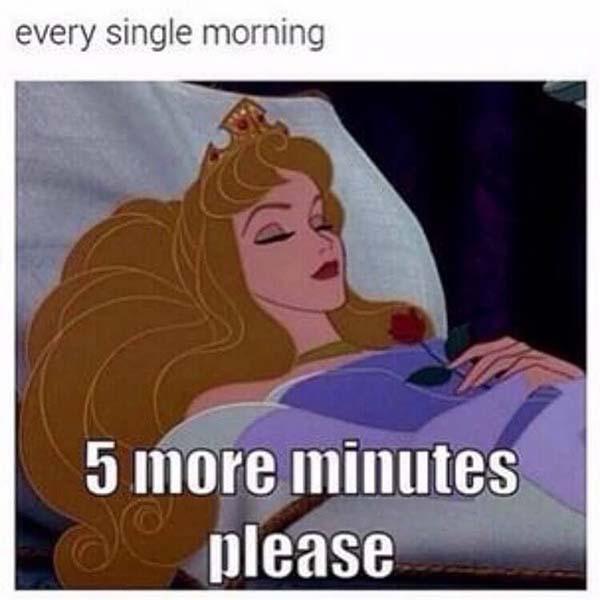 princess meme every single morning...