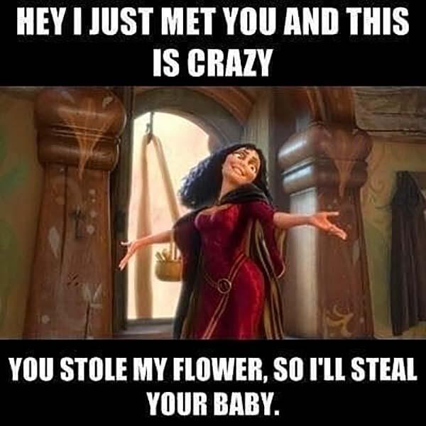 princess meme hey i just met you...