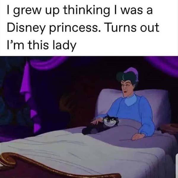 princess meme i grew up thinking i was a princess...