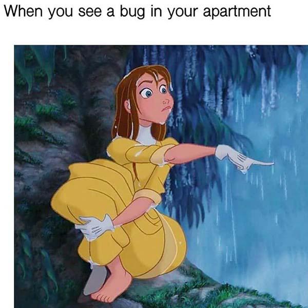 princess meme when you see a bug in your apartment