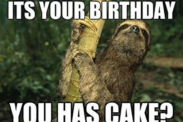 sloth birthday meme is it your bday