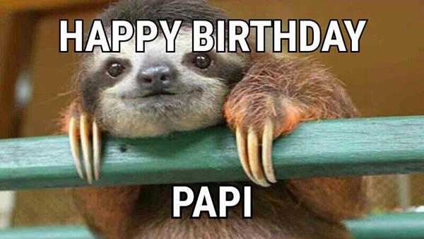 sloth birthday meme