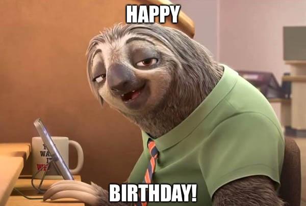 sloth birthday memes