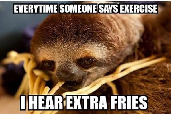 sloth meme everytime someone says exercise i hear extra fries