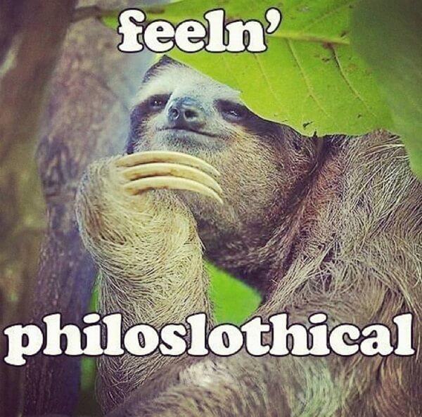 sloth meme feeln philoslothical