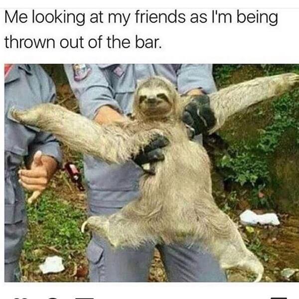 sloth meme funny me looking at my friend as im being thrown out the bar