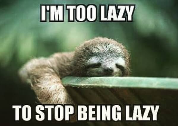 sloth meme i am too lazy to stop being lazy