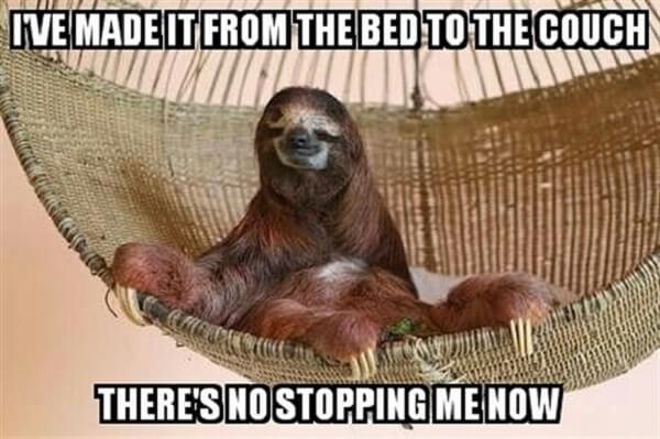 sloth meme i've made it from the bed...