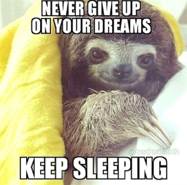 sloth meme never give up on your dreams keep sleeping