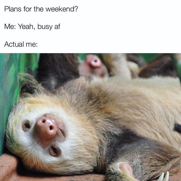 sloth meme plan for this weekend