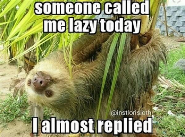 sloth meme someone call me lazy today i almost replied