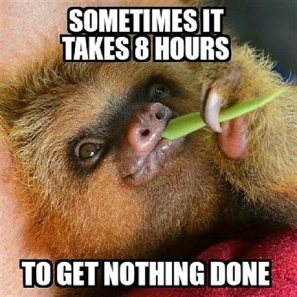 sloth meme sometimes it takes 8 hours to get nothing done