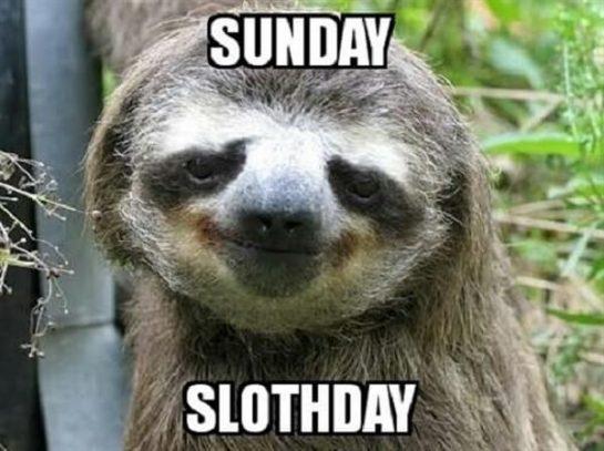 40 Best Sloth Meme - Meme Central