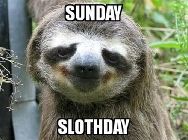 sloth meme sunday sloth day