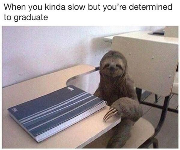 sloth meme when you kinda slow...