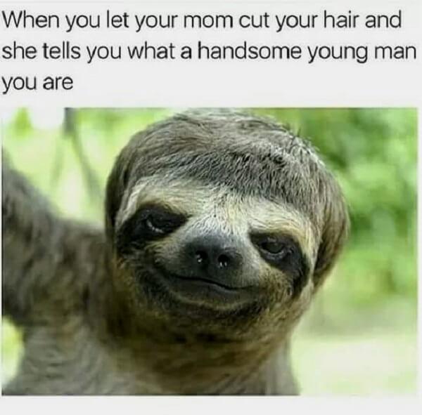 sloth meme when you let your mom cut your hair