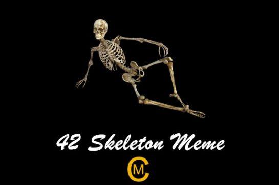 42 Skeleton Meme