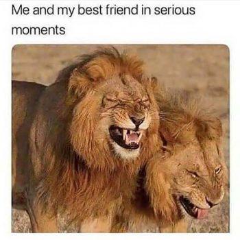 48 Funniest Best Friend Meme - Meme Central