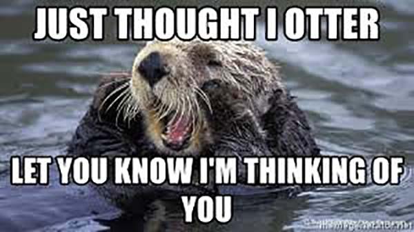 funny thinking of you meme just thought i otter let you know i'm thinking of you