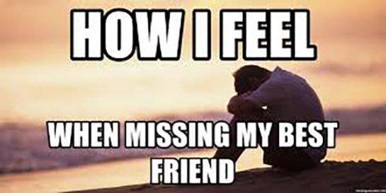 missing your best friend meme funny