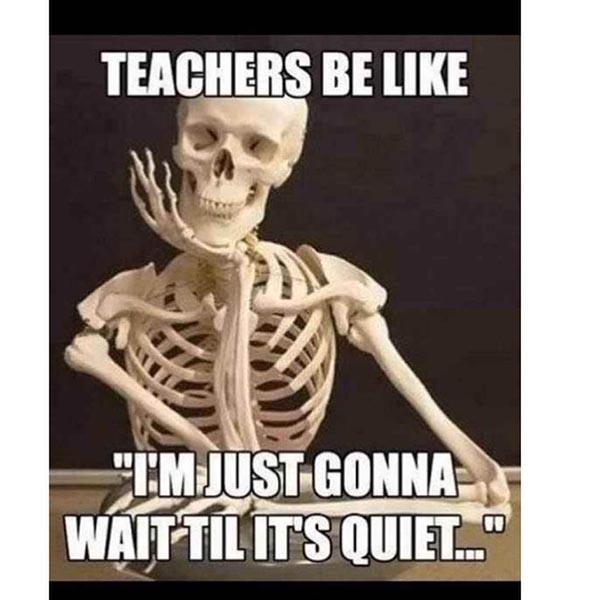 skeleton chair meme teachers be like...