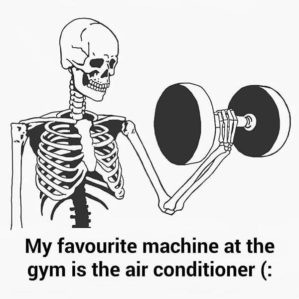 skeleton meme gym