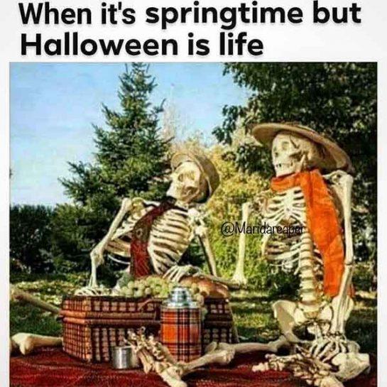 ☠️ 42 Funniest Skeleton Meme - Meme Central