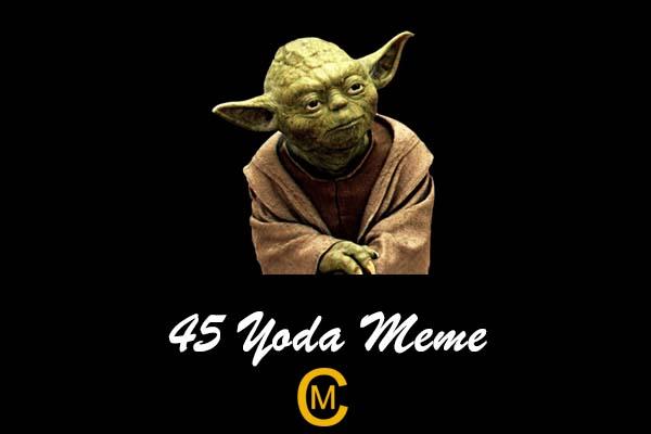 45 Funniest Yoda Meme - Meme Central