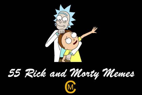 55 Rick and Morty Meme