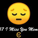 57 I Miss You Meme