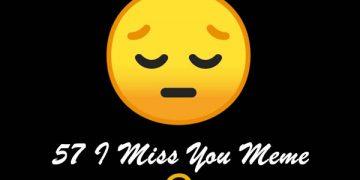 57 I Miss You Meme