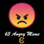 65 Angry Meme