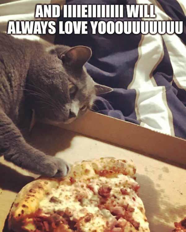 and i will always love you... pizza meme