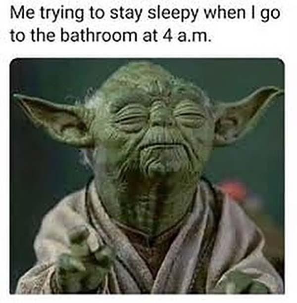 Funniest Yoda Meme Meme Central