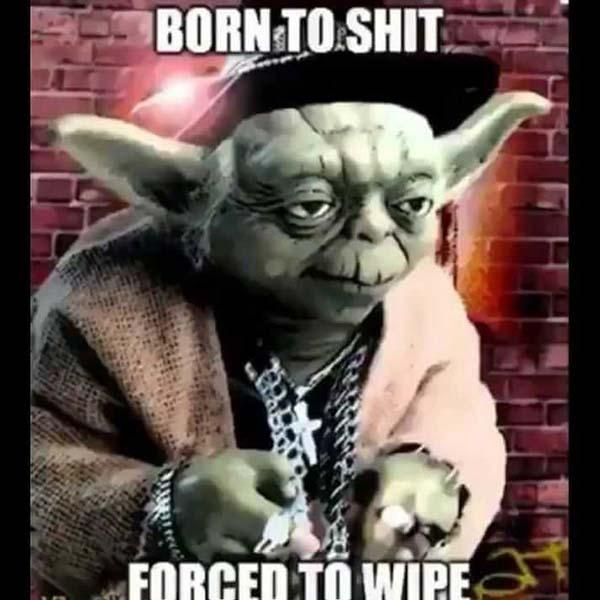 hip hop yoda meme