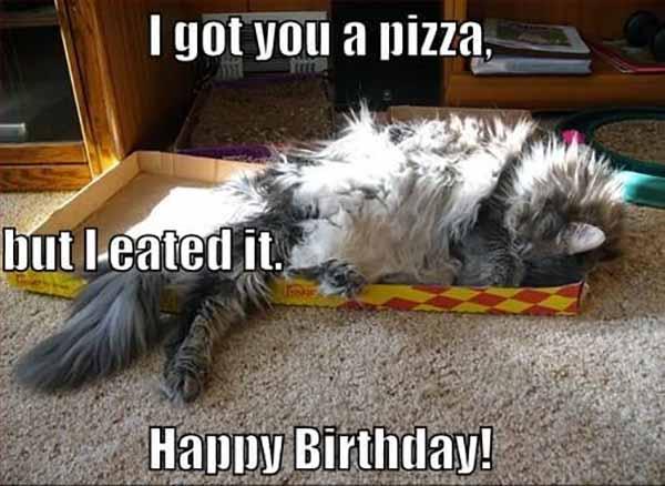 i gpt you a pizza but i eated it... happy birthday