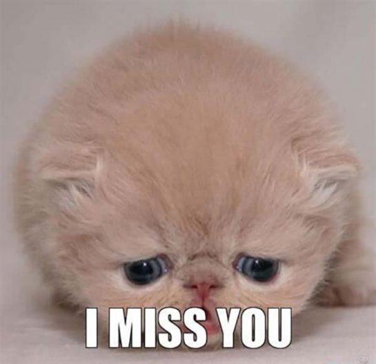 57 I Miss You Meme - Meme Central