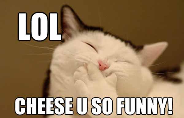 lol Cheese u so funny!