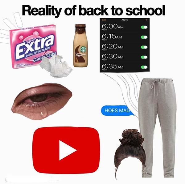 reality of back to school starter pack