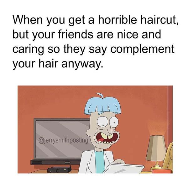 rick and morty memes horrible haircut