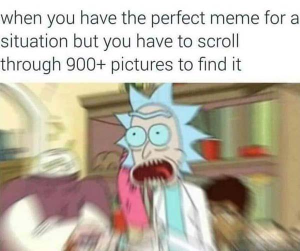 rick and morty memes perfect meme