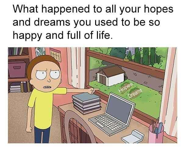 rick and morty memes what happened to all your hopes and dreams...