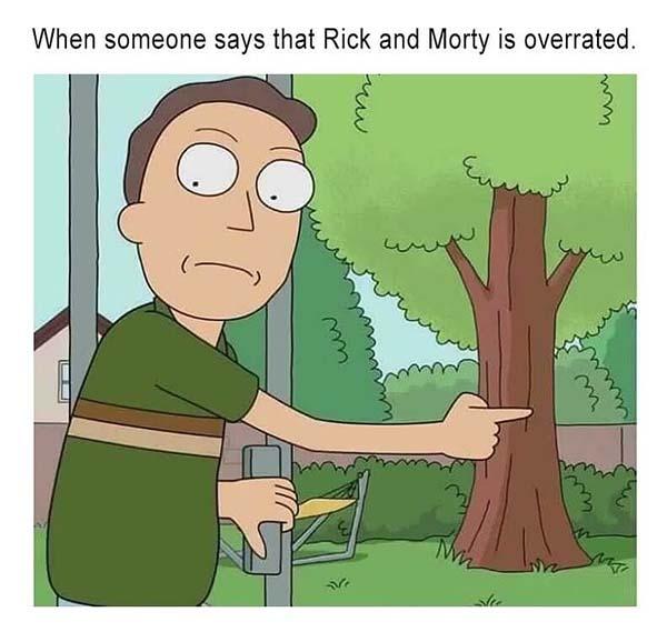 rick and morty memes when someone says rick and morty is overrated...
