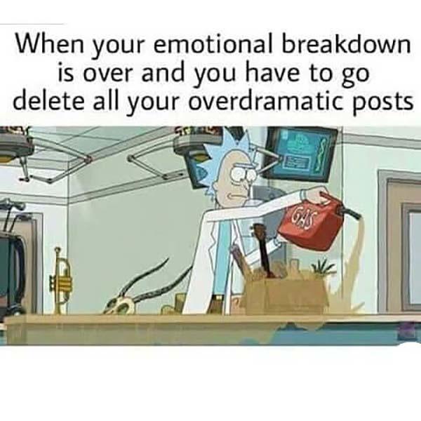 rick and morty memes when your emotional breakdown is over...