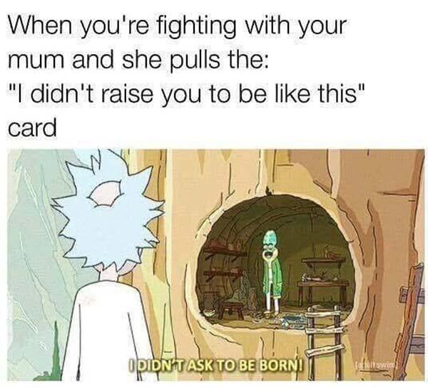 rick and morty memes when you're fighting with your mum