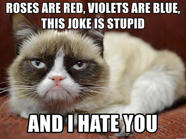 roses are red violet are blue and i hate you